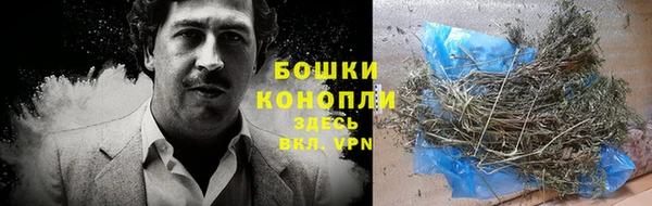 бошки Алексин