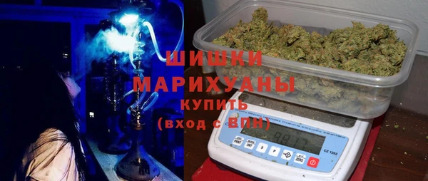 бошки Алексин