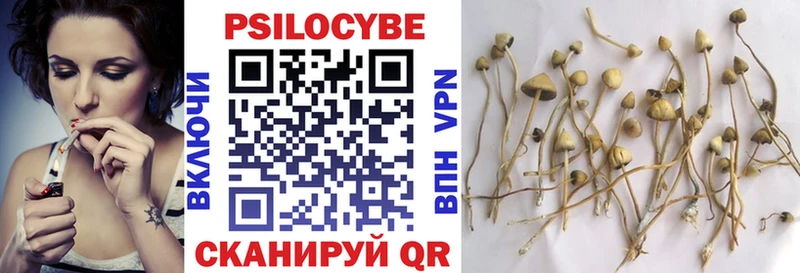 Галлюциногенные грибы GOLDEN TEACHER  Ленинск 